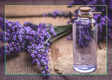 Lavender Essential Oil: The Good, the Bad and the Beautiful